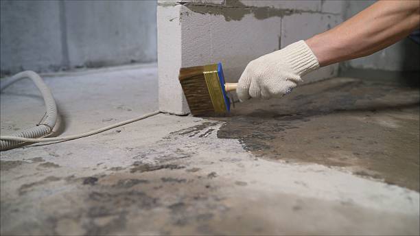 SJ Waterproofing Pros Waterproofing coverage map for Waynesboro, VA and surrounding area